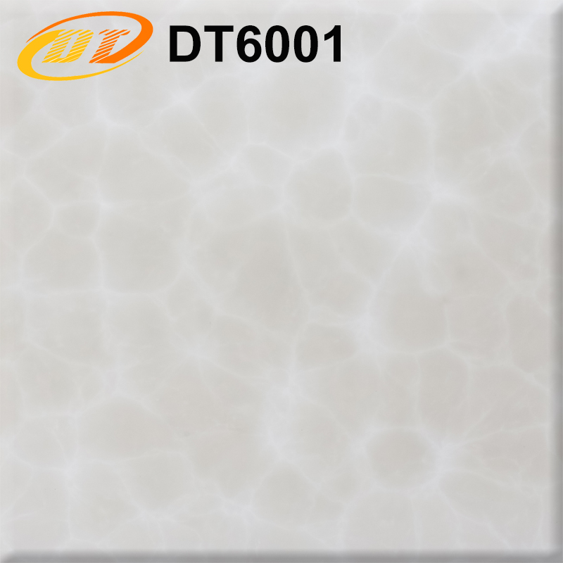 DT6001